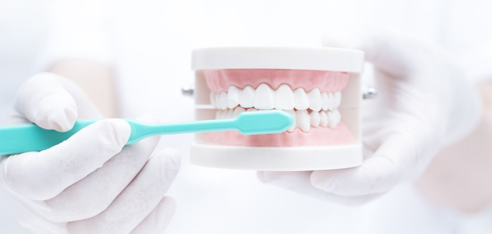 予防歯科（歯周病）