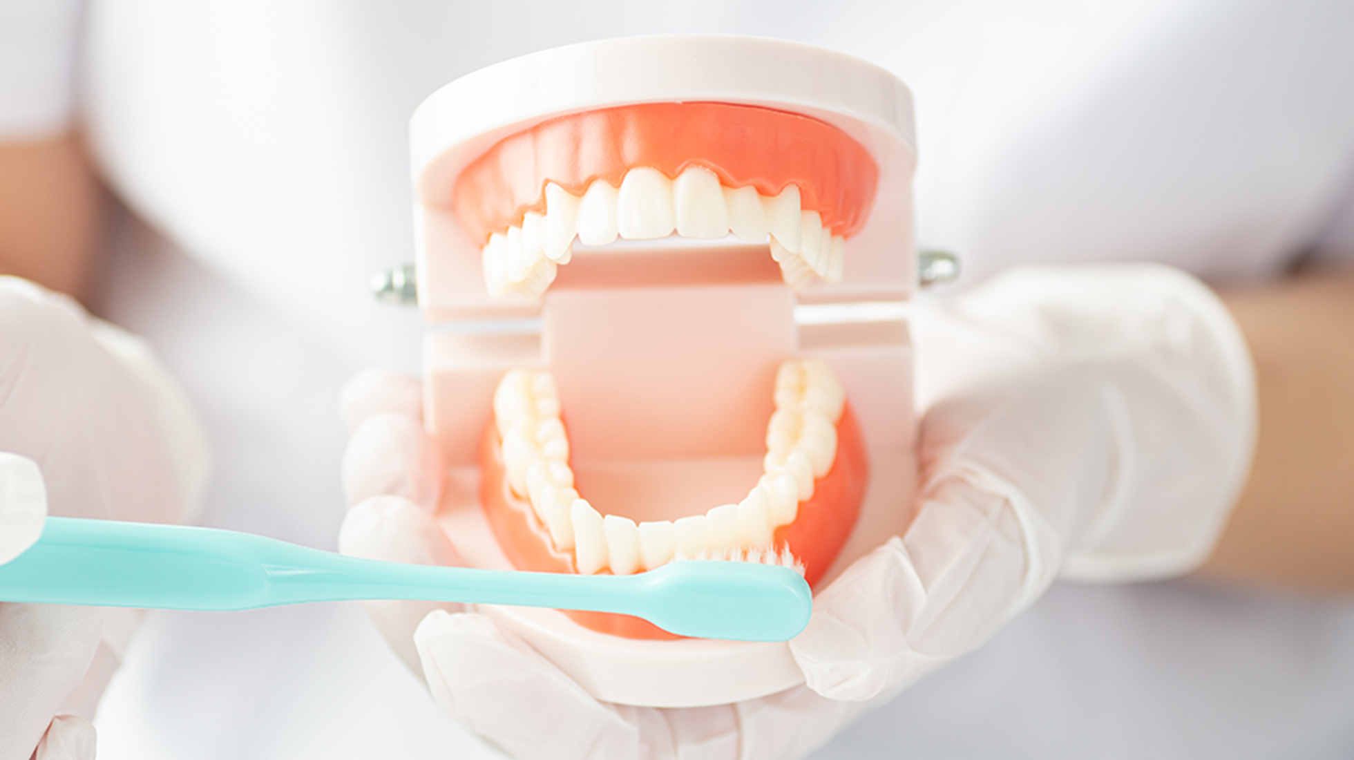 歯を失った場合は早期治療が重要